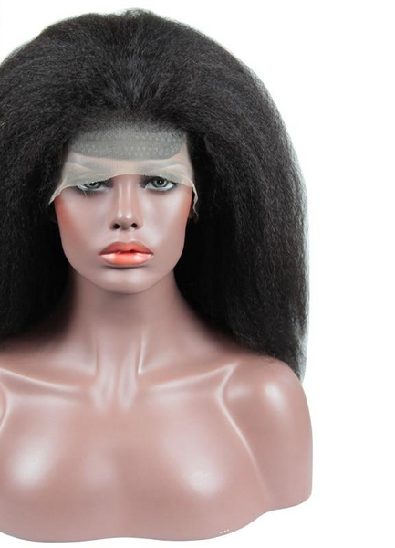 Swiss Lace Brazilian Kinky Straight Lace Front Wig - Exotic Hair Shop